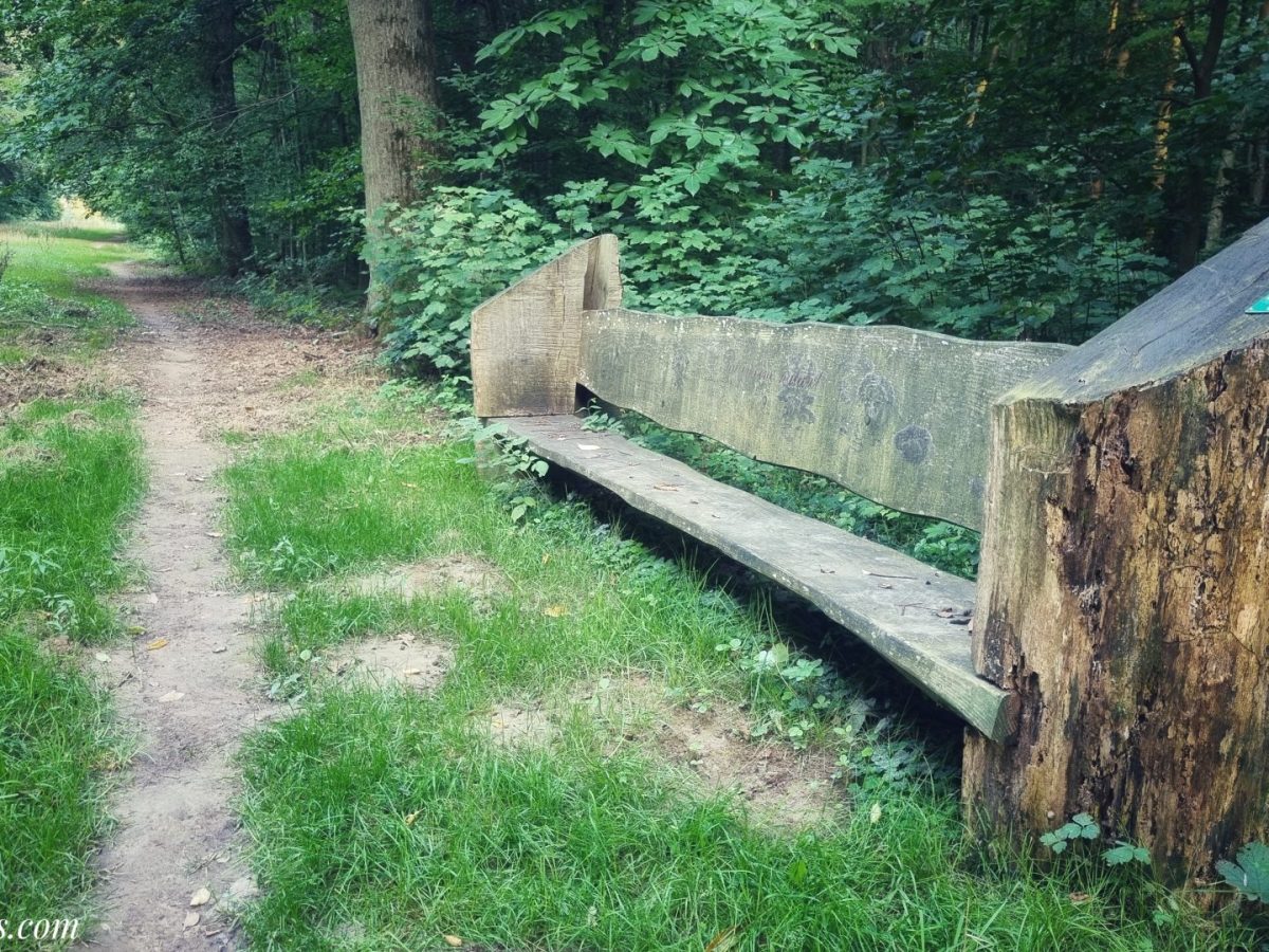 Hamm – Eichhörnchen – 6,5km