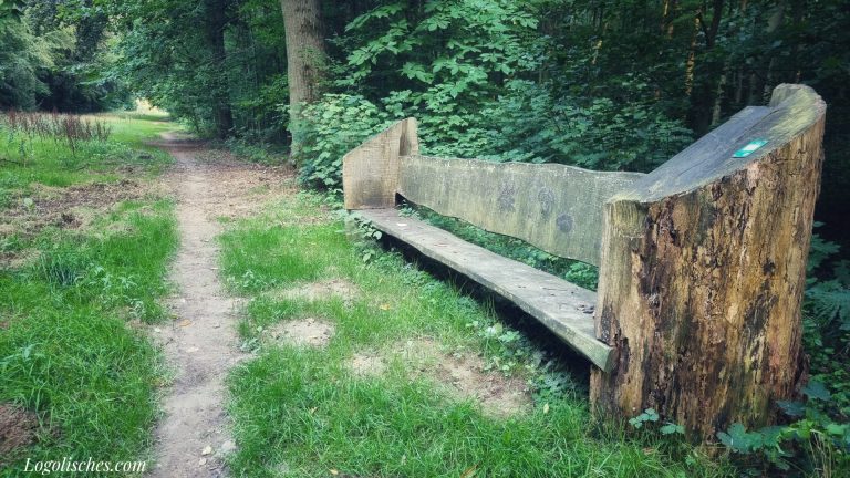 Mehr über den Artikel erfahren Hamm – Eichhörnchen – 6,5km