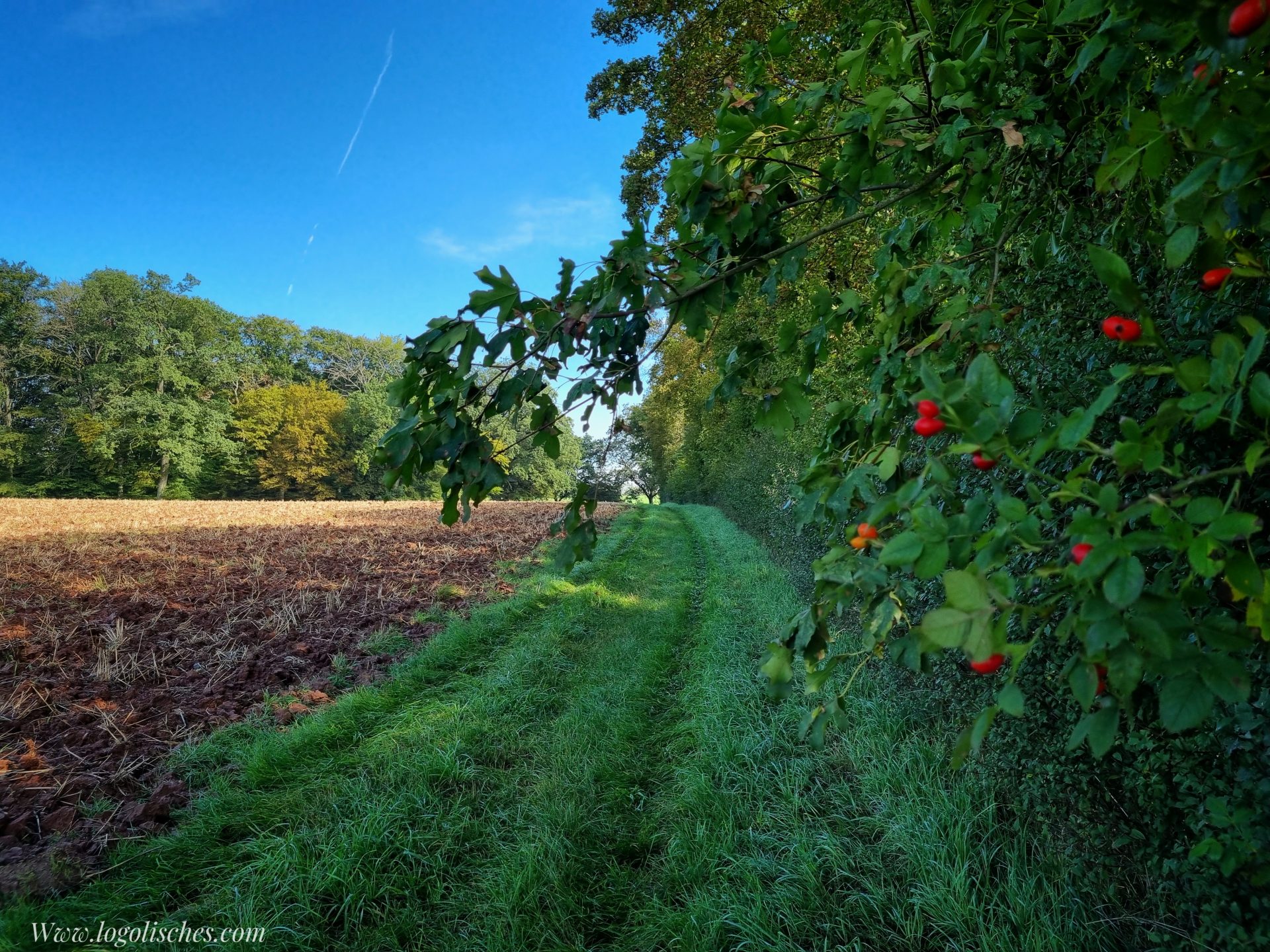 Mehr über den Artikel erfahren Eschweiler – J24 – 7km