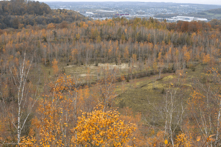 Mehr über den Artikel erfahren Lamadelaine – Autopedestre – 8,5km