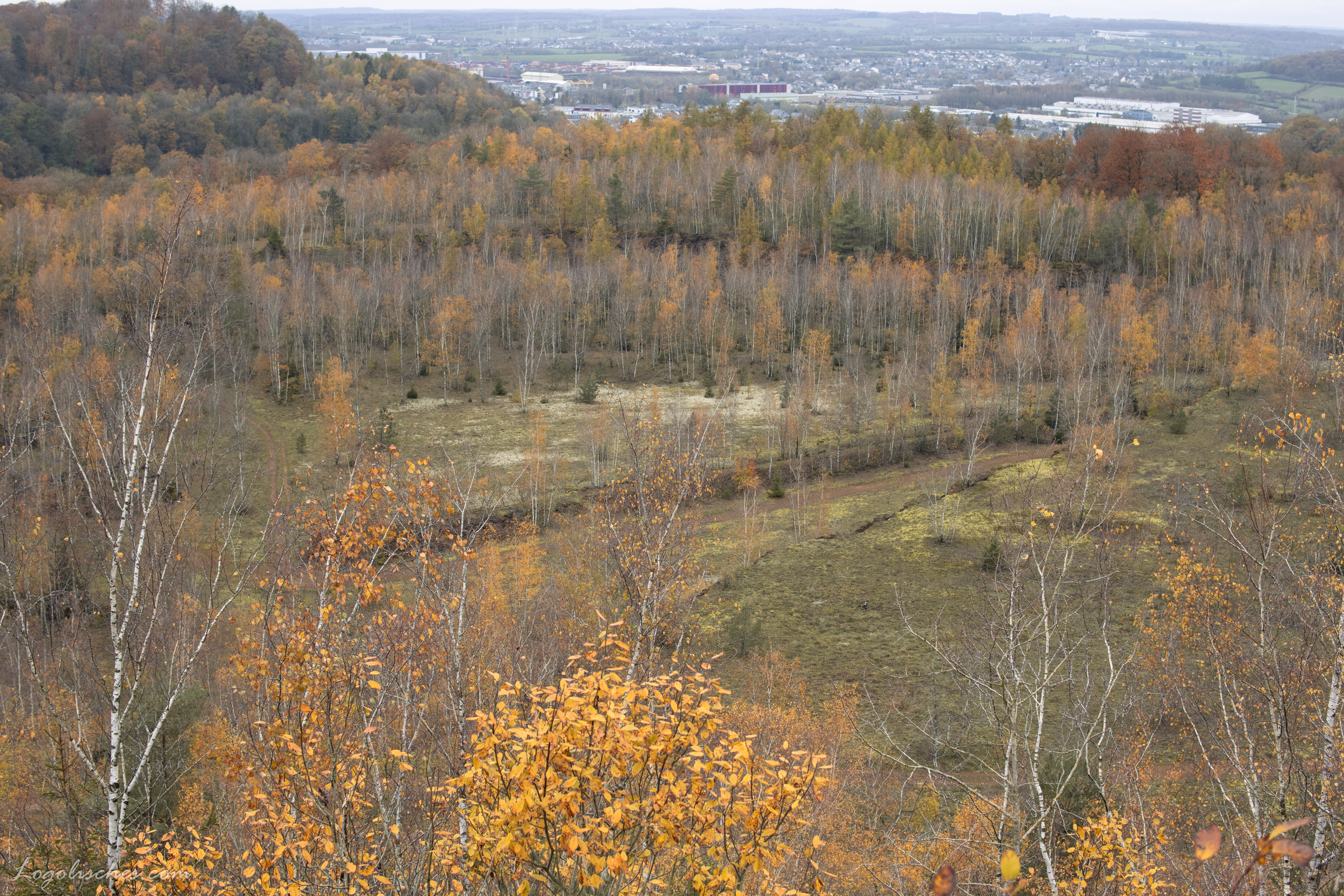 Mehr über den Artikel erfahren Lamadelaine – Autopedestre – 8,5km