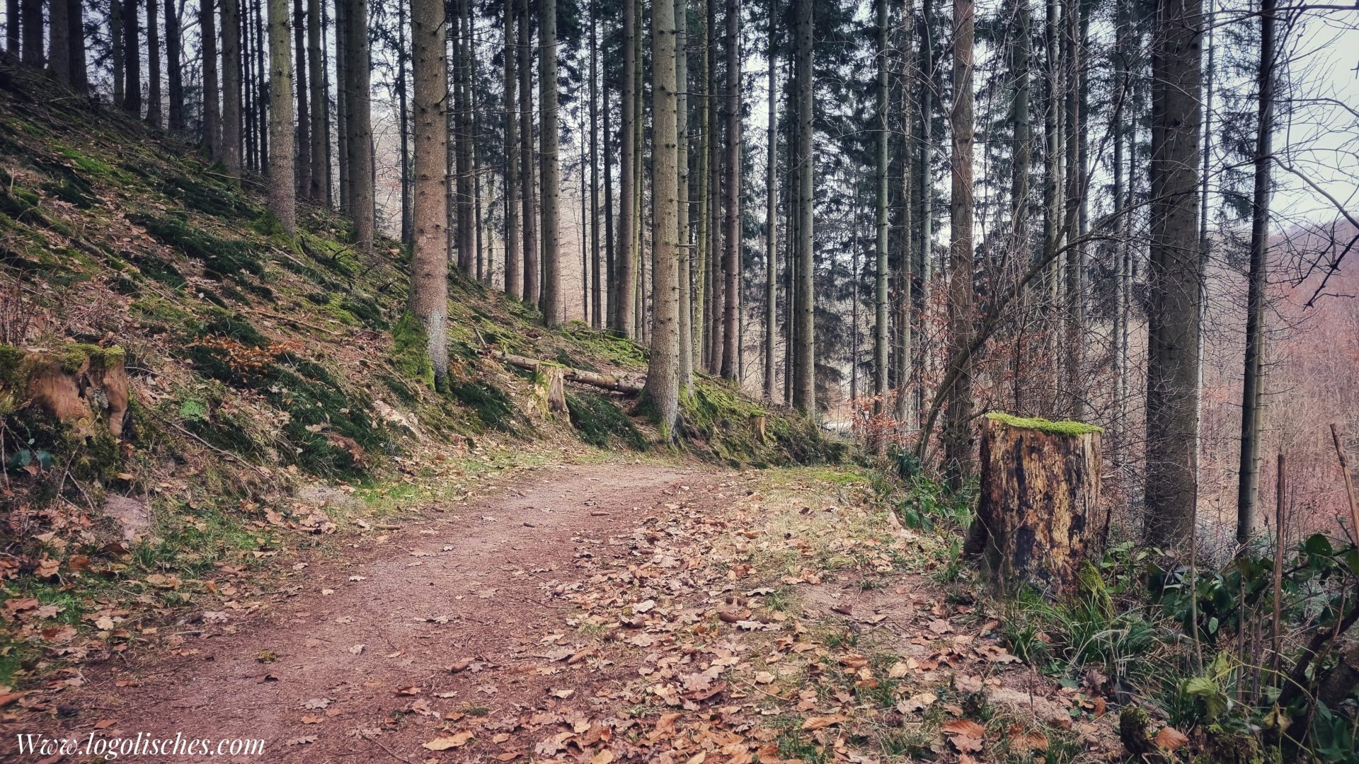Mehr über den Artikel erfahren Sandweiler – Autopedestre – 5,8km