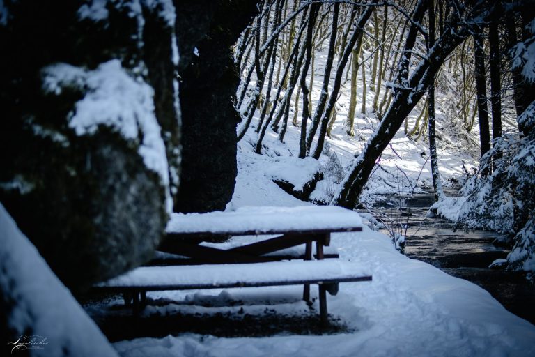 Mehr über den Artikel erfahren Eschdorf – ES6 – 6,5km