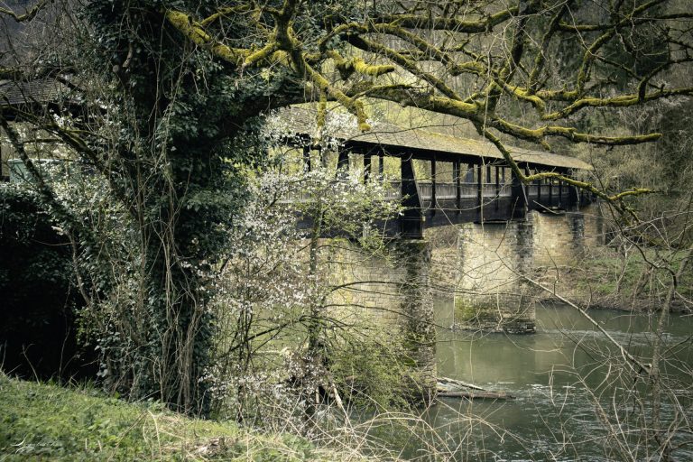 Mehr über den Artikel erfahren Bollendorf – B17 – 6,4km