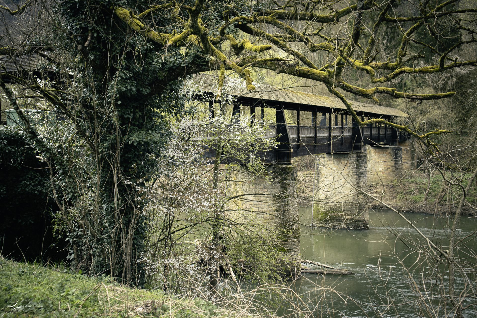 Mehr über den Artikel erfahren Bollendorf – B17 – 6,4km