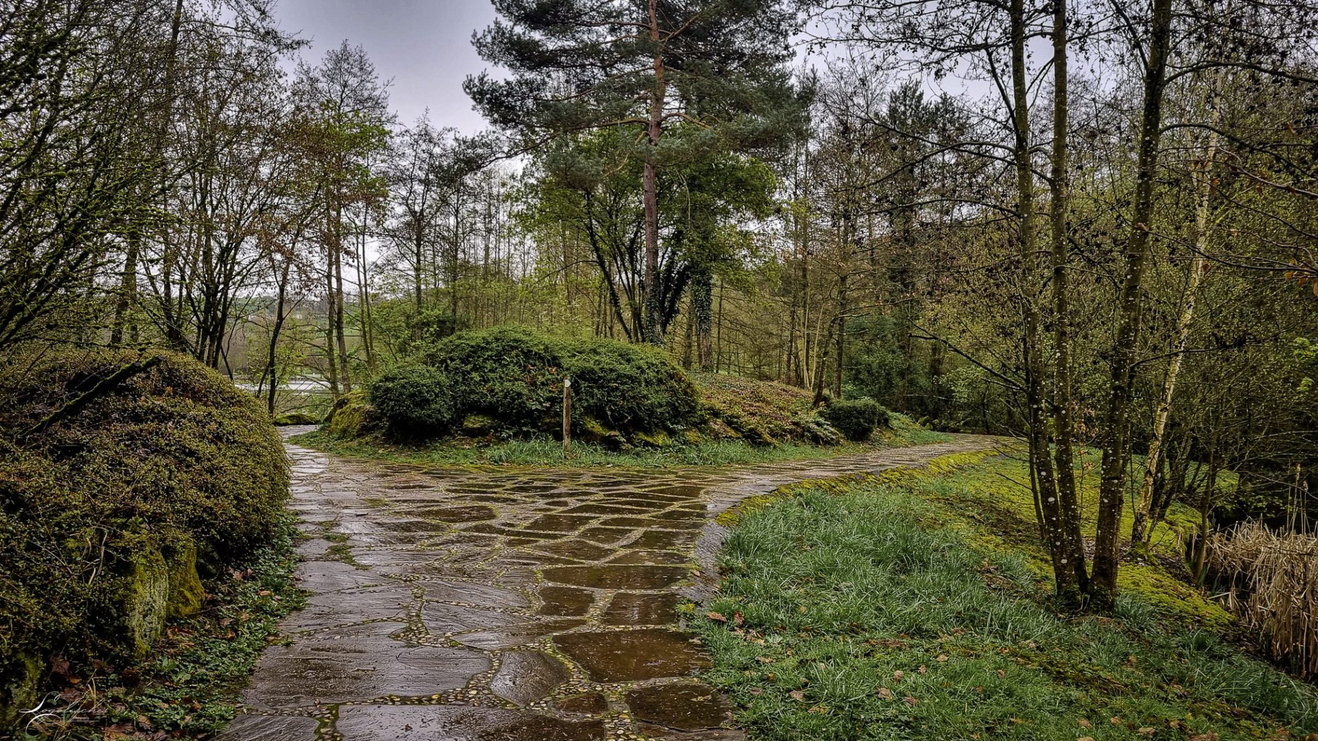 Mehr über den Artikel erfahren Echternach – E5 – 6,4km