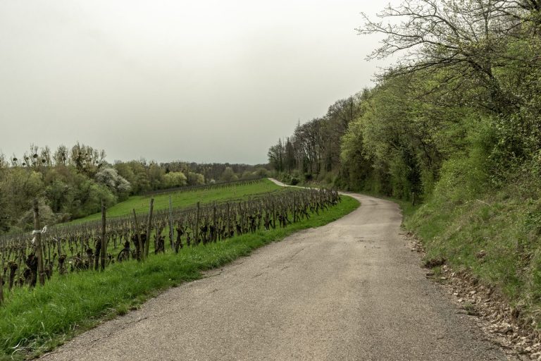 Mehr über den Artikel erfahren Elvange – SE4 – 6,7km