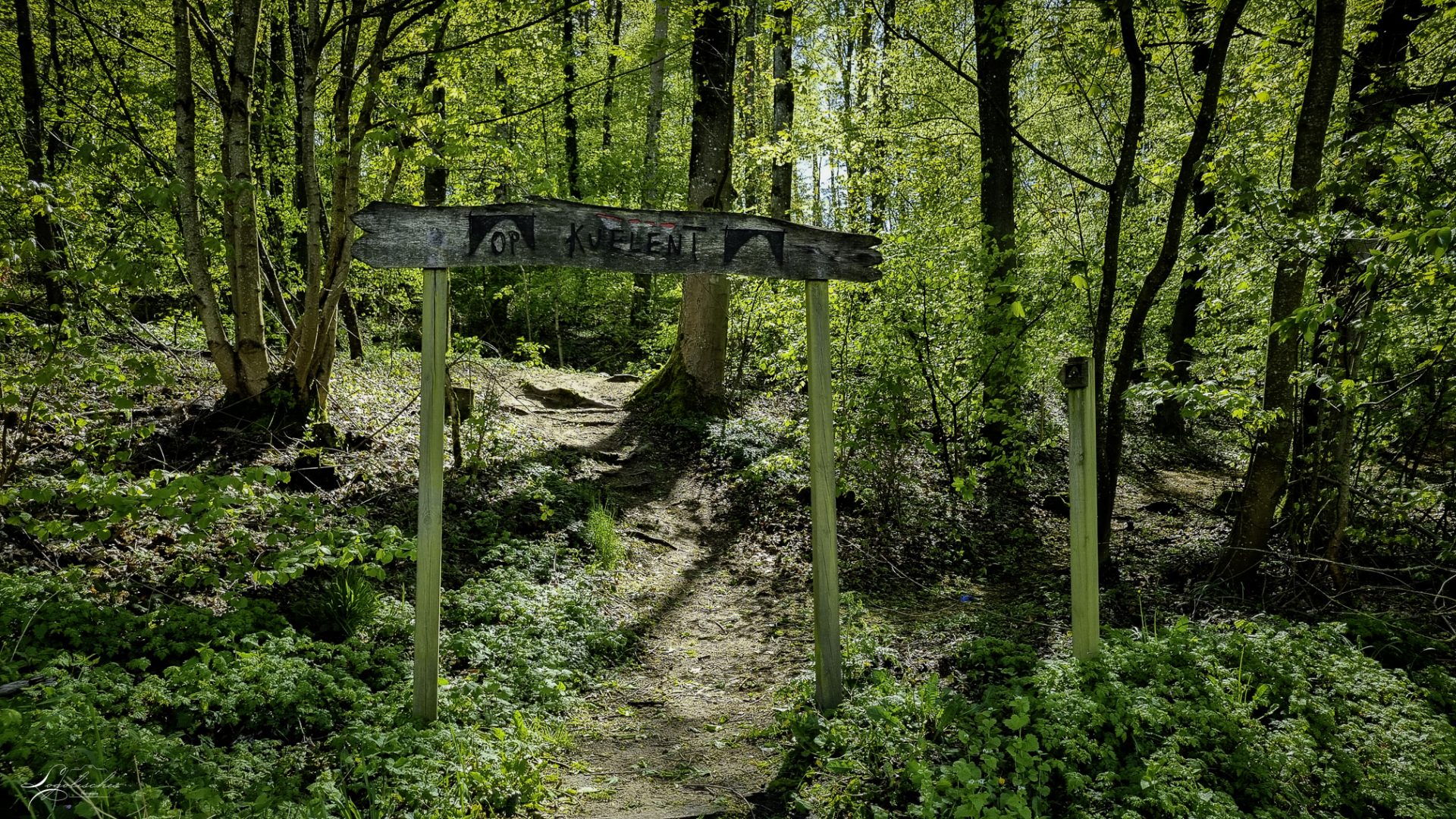 Mehr über den Artikel erfahren Blaschette – Op Kuelent – 4km