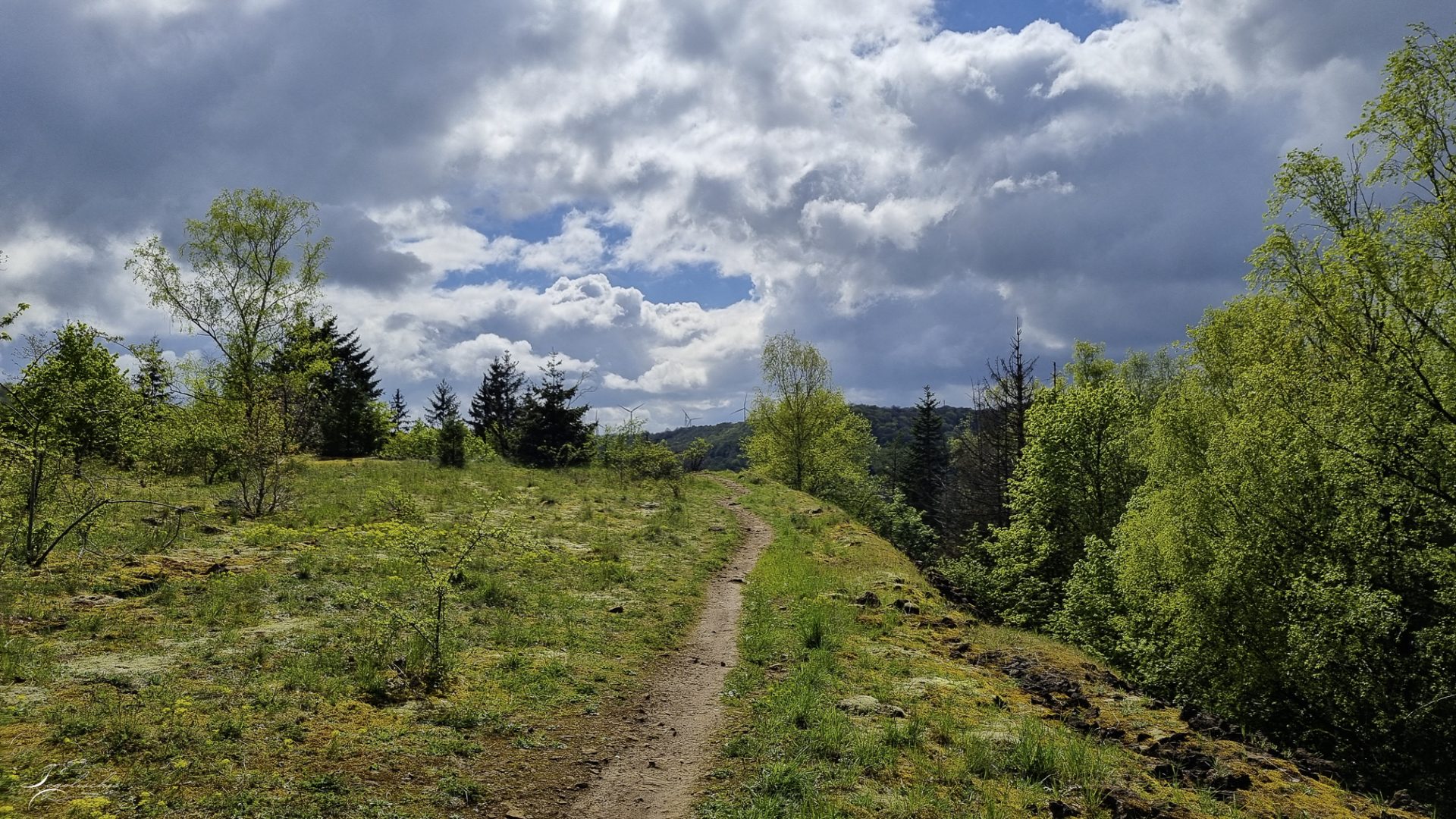 Mehr über den Artikel erfahren Rumelange – Autopedestre Gare – 7km