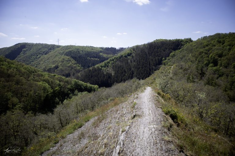 Mehr über den Artikel erfahren Hoscheid – Eislek Pad – 12km