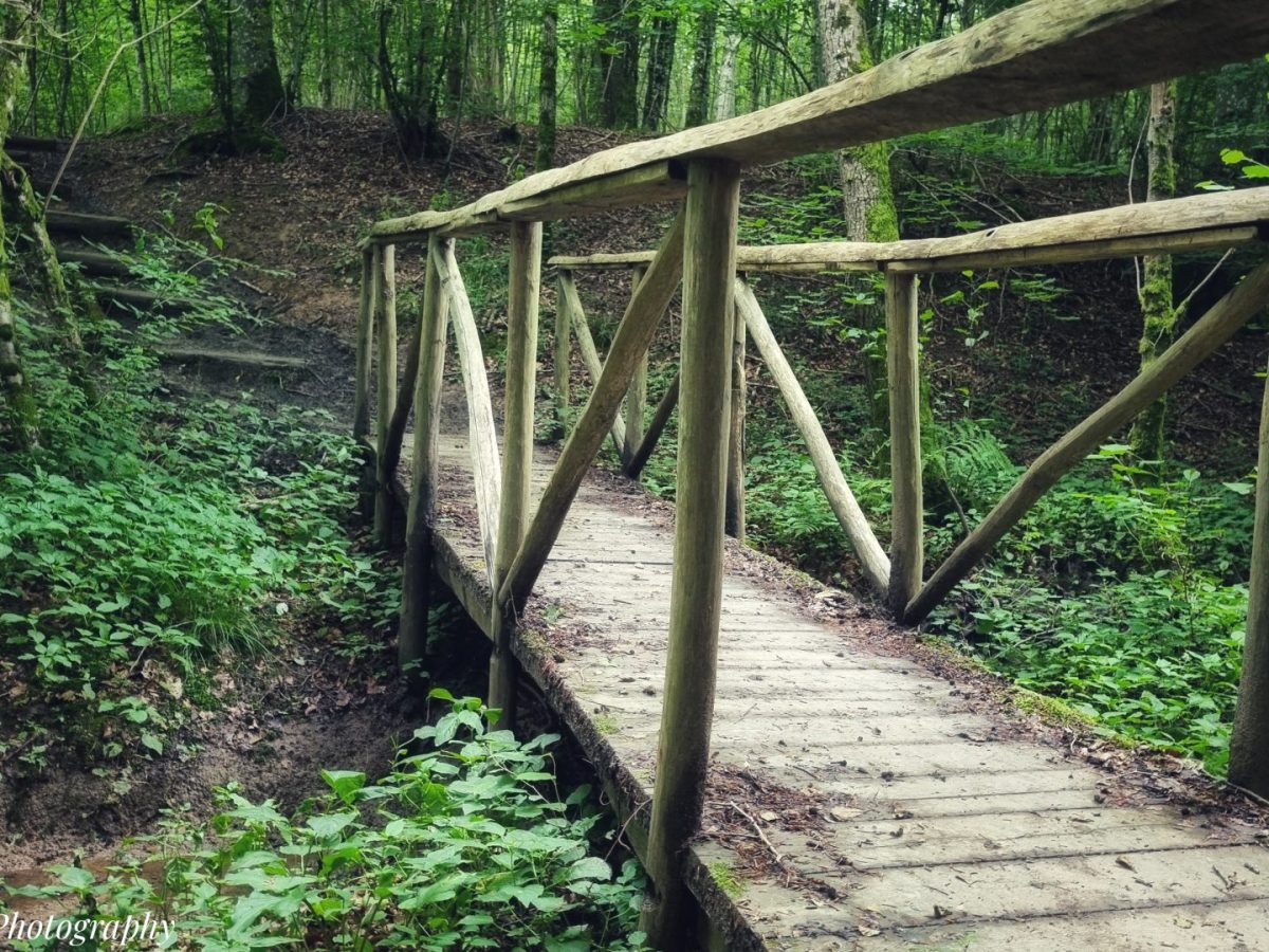 Abweiler- Roude Fuedem – 3km