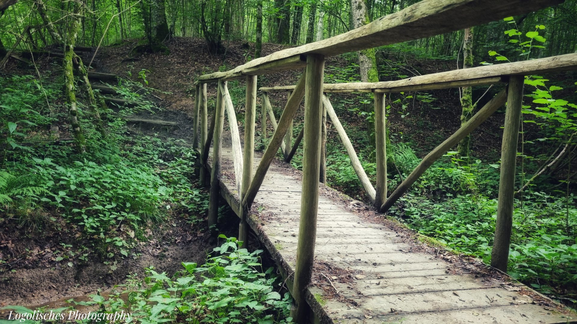 Mehr über den Artikel erfahren Abweiler- Roude Fuedem – 3km