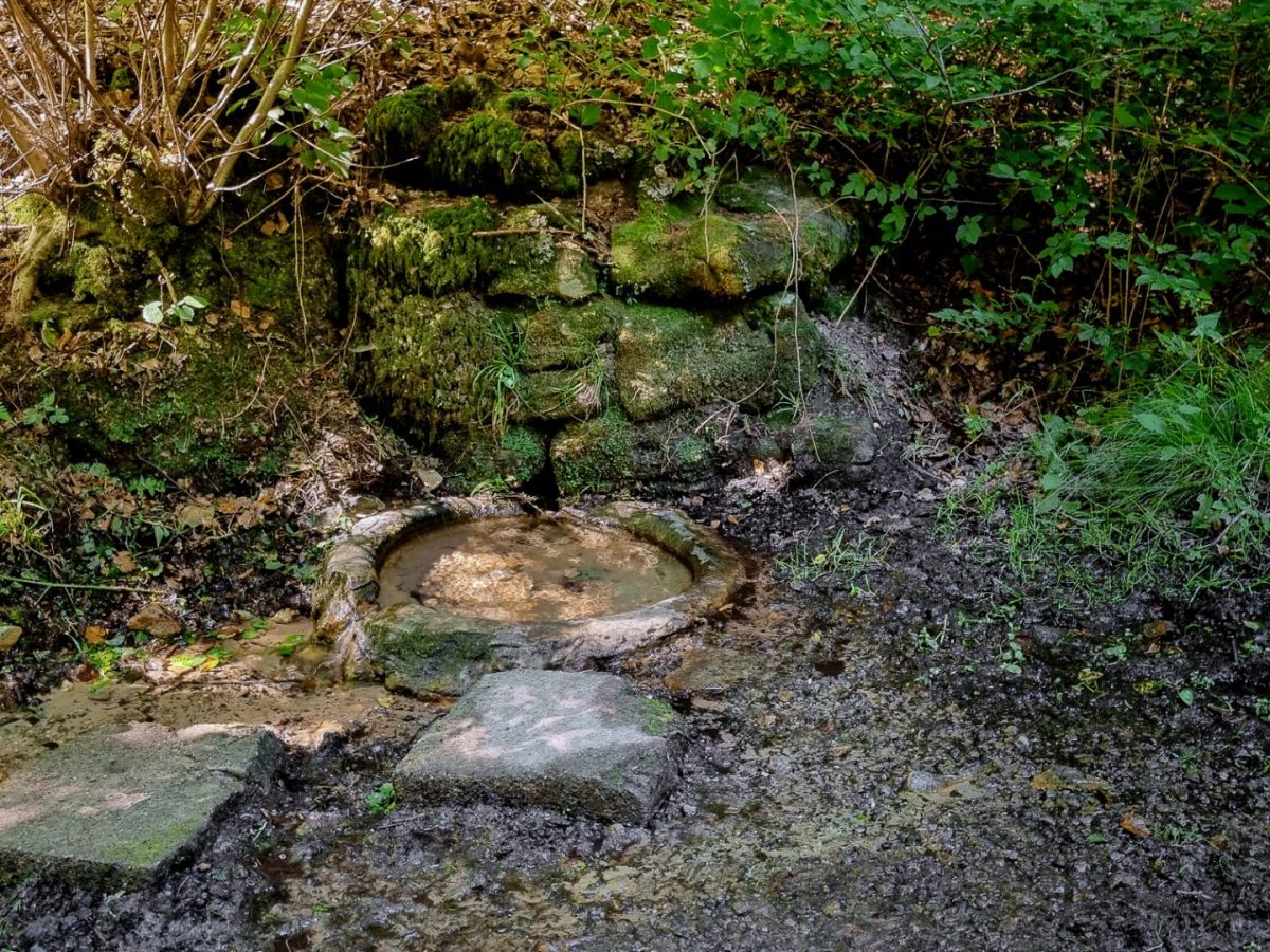 Gréngewald – Autopedestre – 5,3km