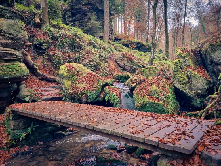 Mehr über den Artikel erfahren Beaufort – Geo-Pad Haupeschbaach an Halerbaach – 5km