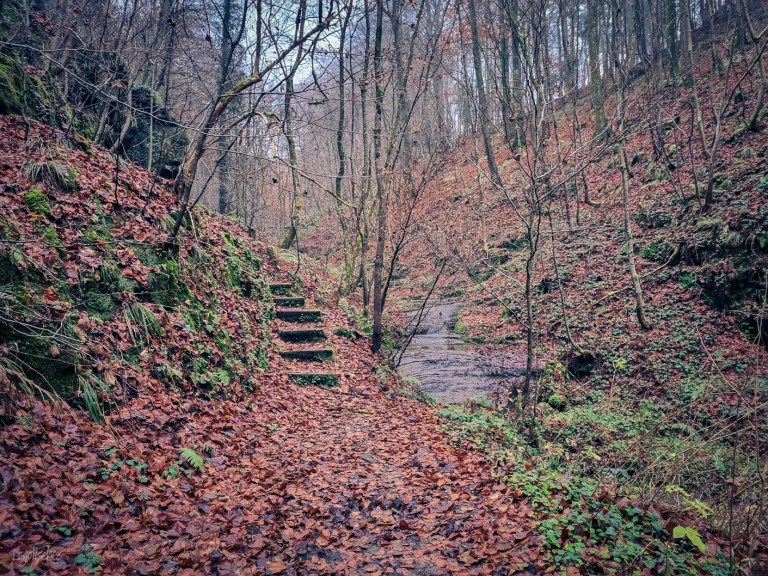 Mehr über den Artikel erfahren Consdorf – Naturlehrpfad Joffer Margot – 4,7km, 6,2km, 6,7km