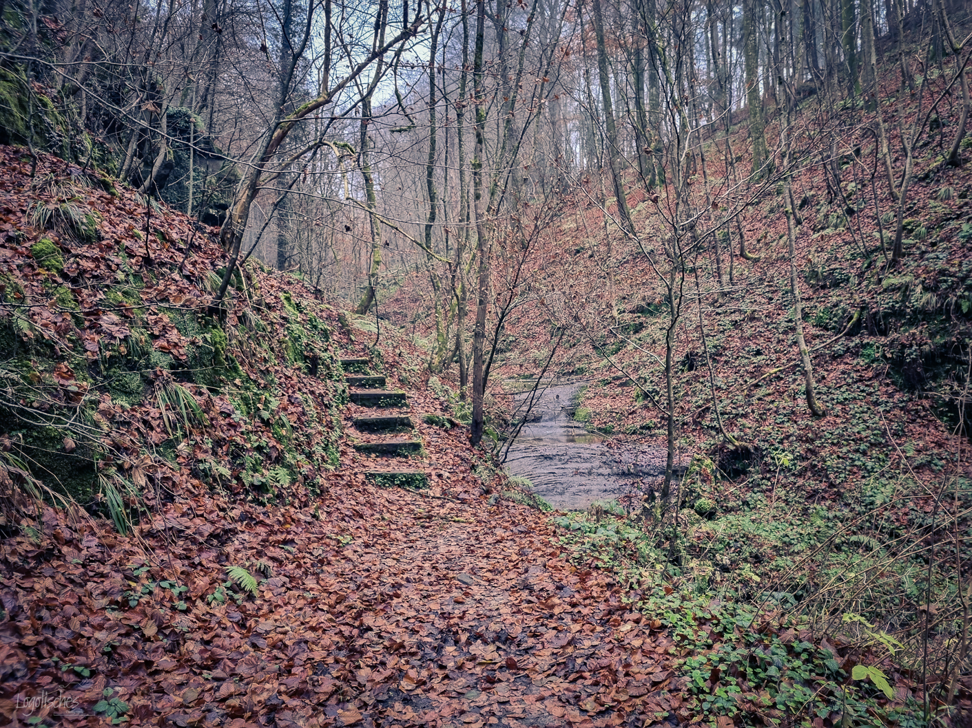 Mehr über den Artikel erfahren Consdorf – Naturlehrpfad Joffer Margot – 4,7km, 6,2km, 6,7km