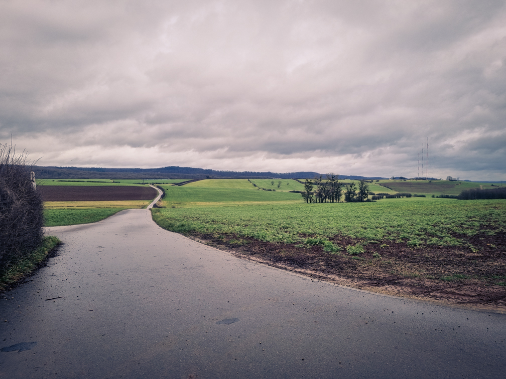 Mehr über den Artikel erfahren Beidweiler – J21 – 5,3km