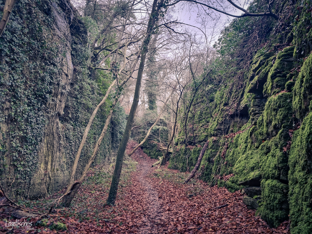 Mehr über den Artikel erfahren Steinheim – R8 – 9km