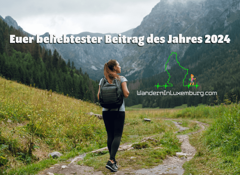 Mehr über den Artikel erfahren Euer beliebtester Beitrag des Jahres 2024