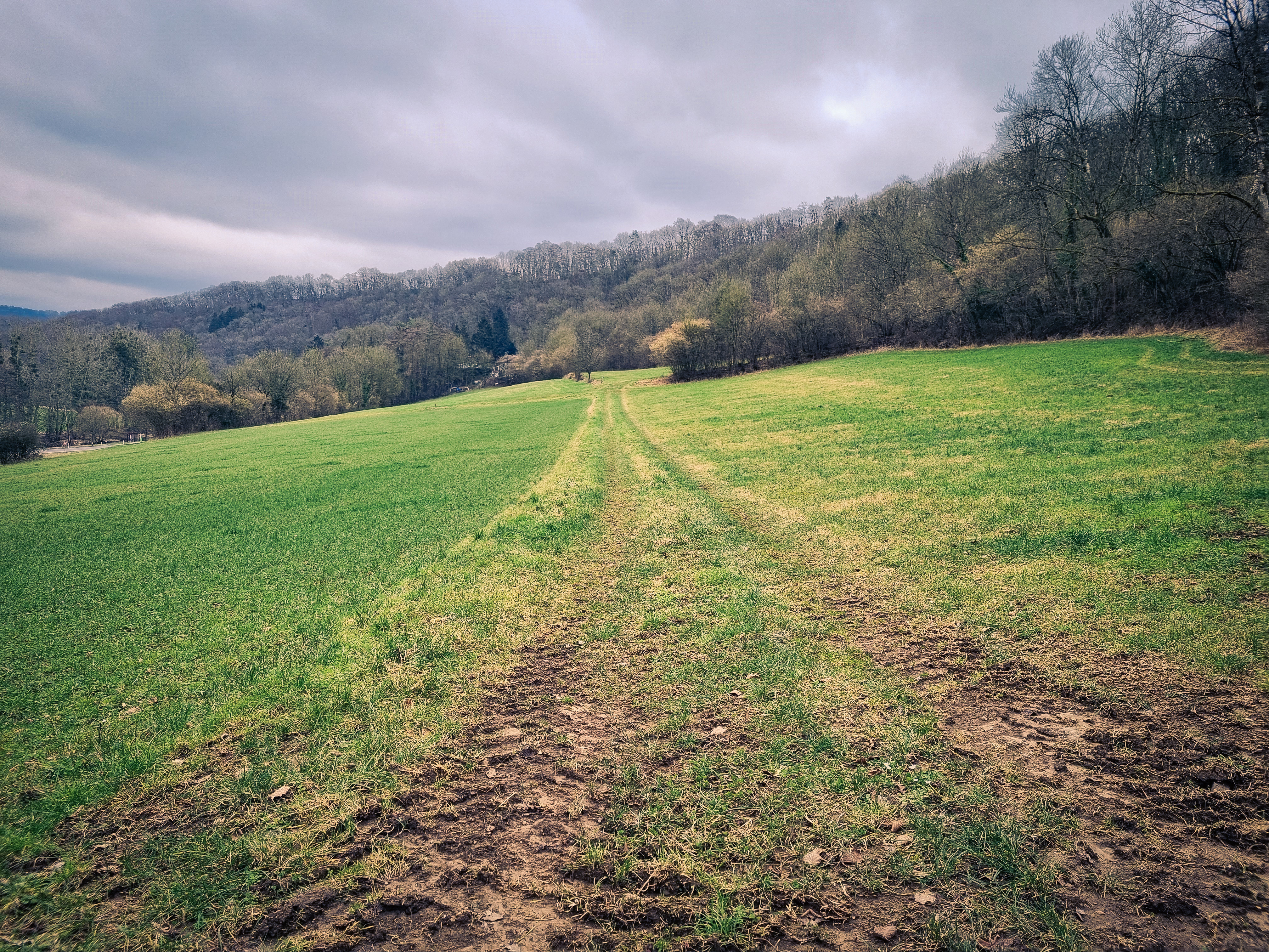 Mehr über den Artikel erfahren Reisdorf – R1 – 5,6km