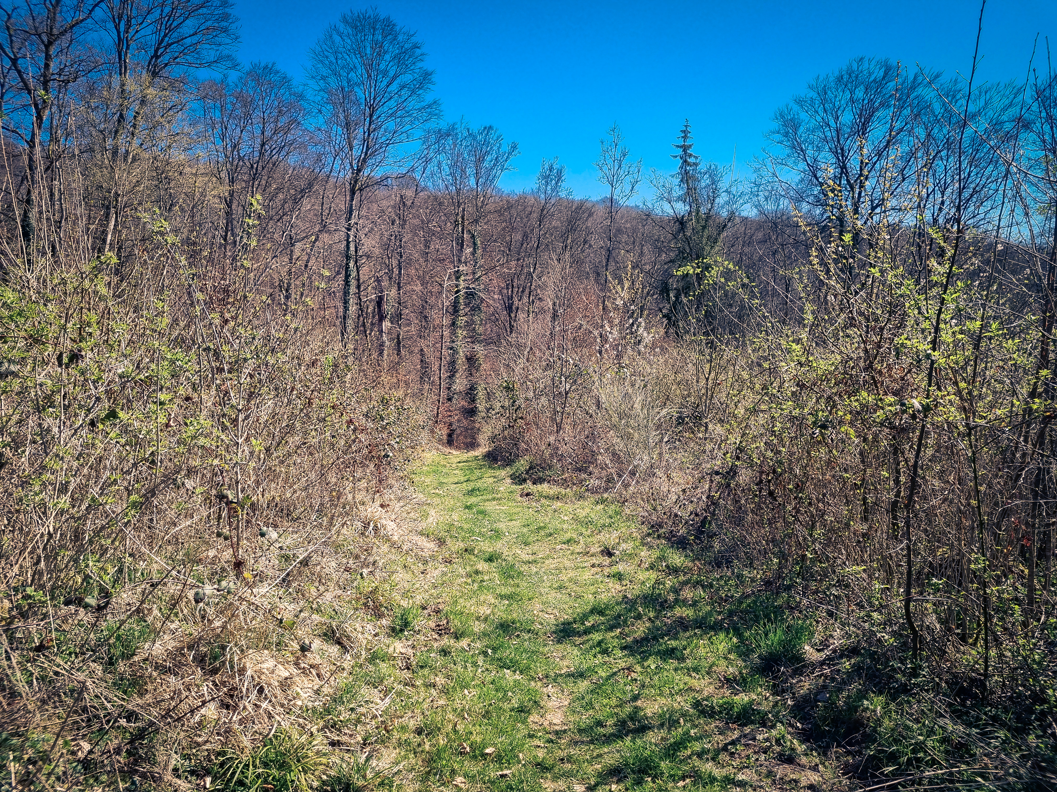 Mehr über den Artikel erfahren Tuntange – Autopedestre – 6,9km