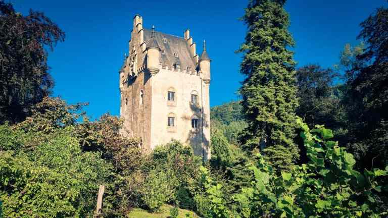 Mehr über den Artikel erfahren Schoenfels – Naturerlebnispfad Gousselerbierg – 9,7km