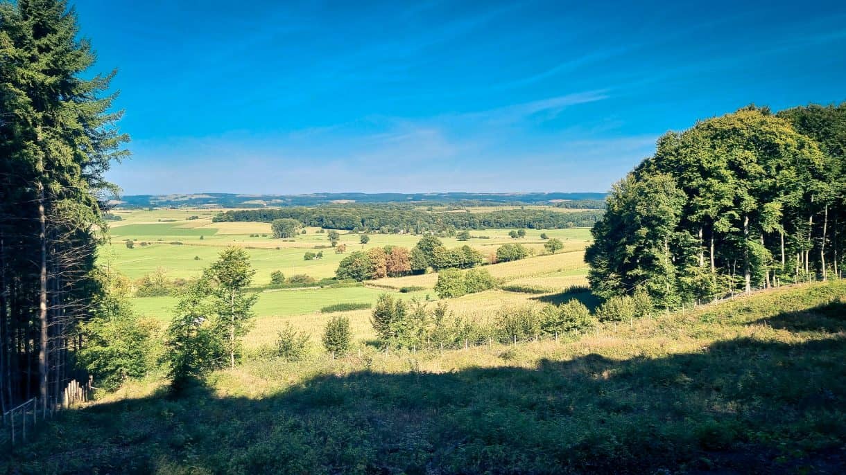 Mehr über den Artikel erfahren Saeul – SA1 – 4,9km