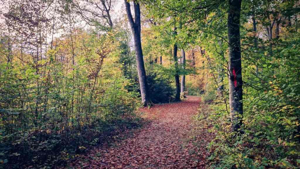Bissen – Komfort-Wanderweg – 3,08km