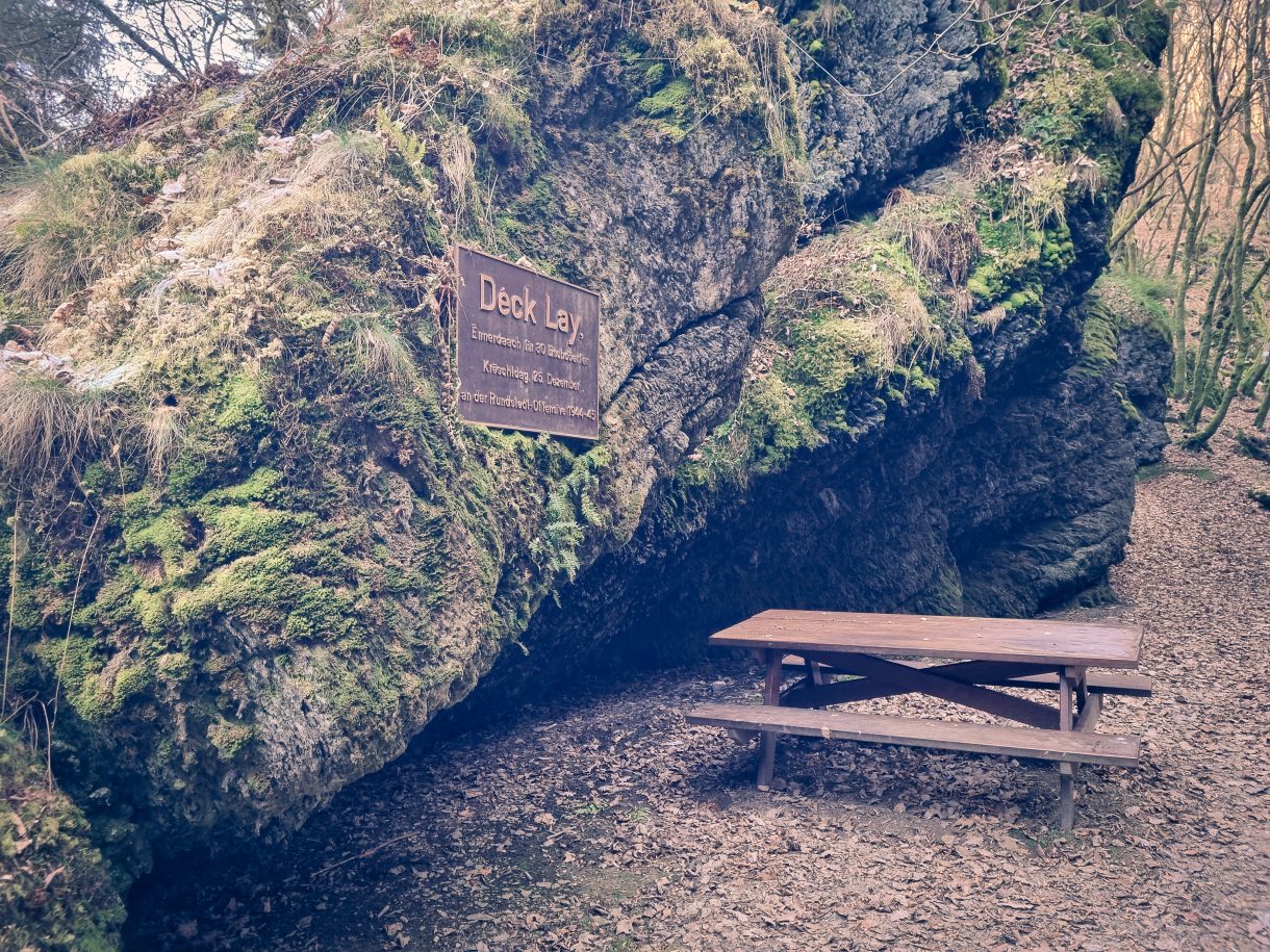 Mehr über den Artikel erfahren Groussbus-Wal – Guttland.Trail Déck Lee – 5,5km