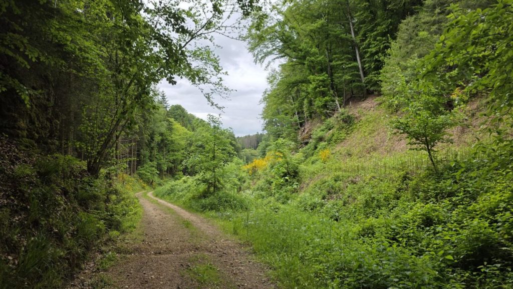 Lintgen – LI2 – 7,7km